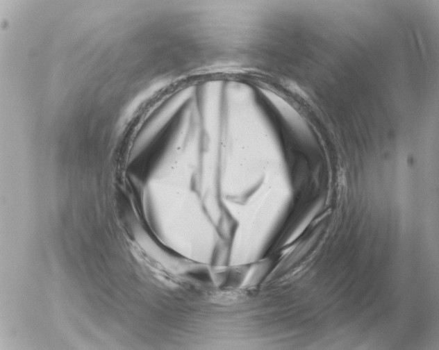 X0000052571406200507291955