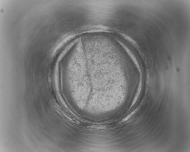 X0000052571407200507291955