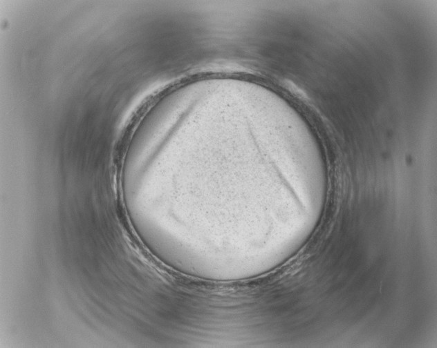 X0000052571408200507291955