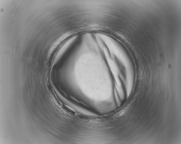 X0000052571410200507291955