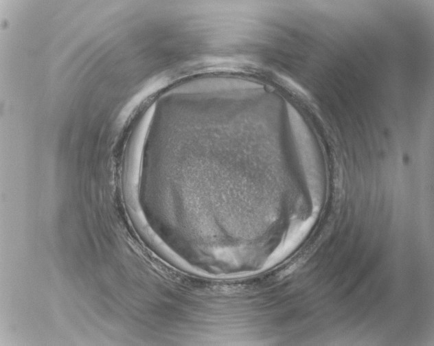 X0000052571411200507291955