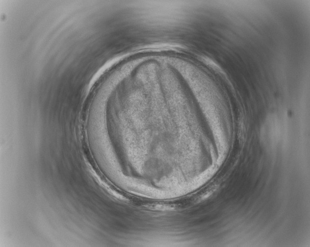 X0000052571412200507291955