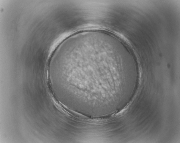 X0000052571413200507291955