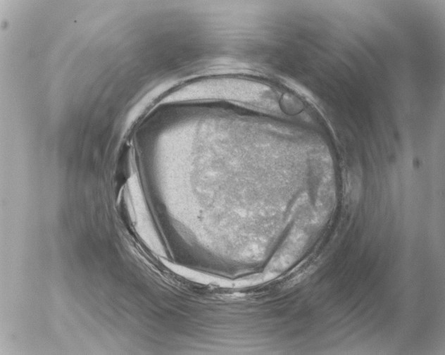 X0000052571415200507291955