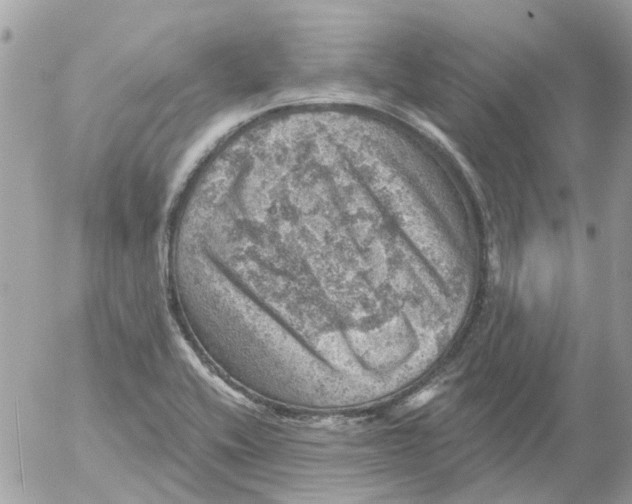 X0000052571416200507291955