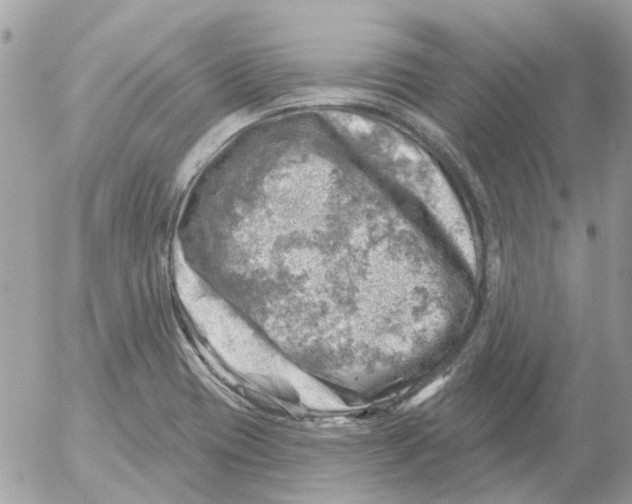 X0000052571417200507291955