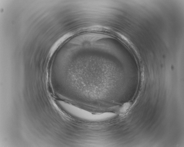 X0000052571418200507291955