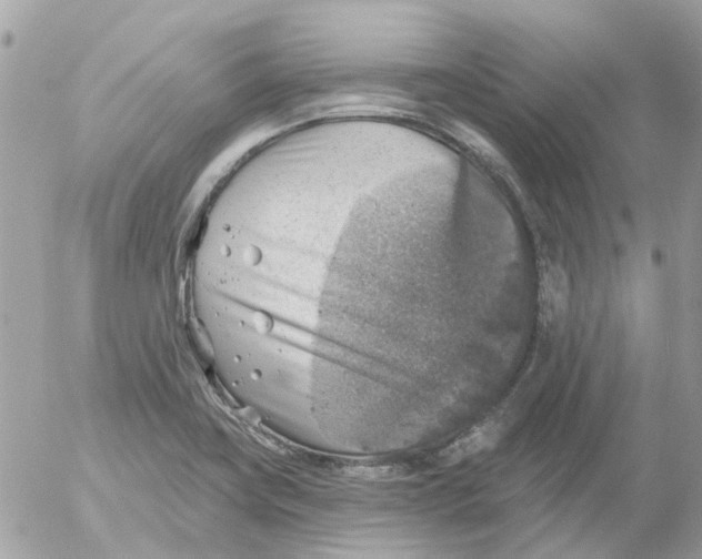 X0000052571419200507291955