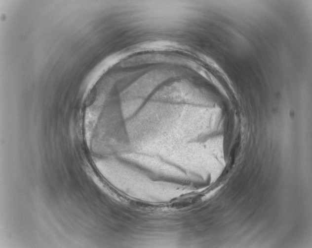 X0000052571421200507291955