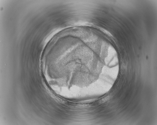 X0000052571423200507291955