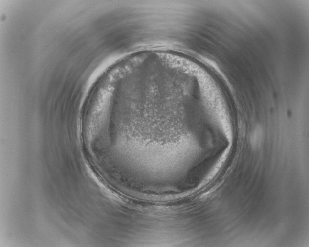 X0000052571424200507291955