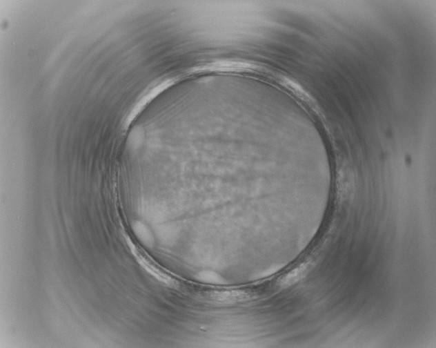 X0000052571425200507291955