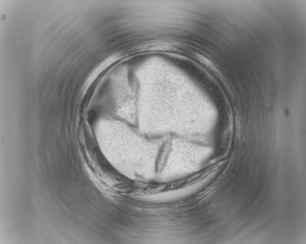 X0000052571426200507291955