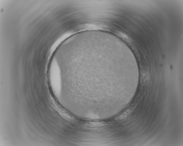 X0000052571427200507291955