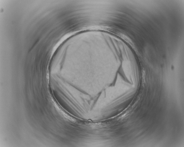 X0000052571428200507291955