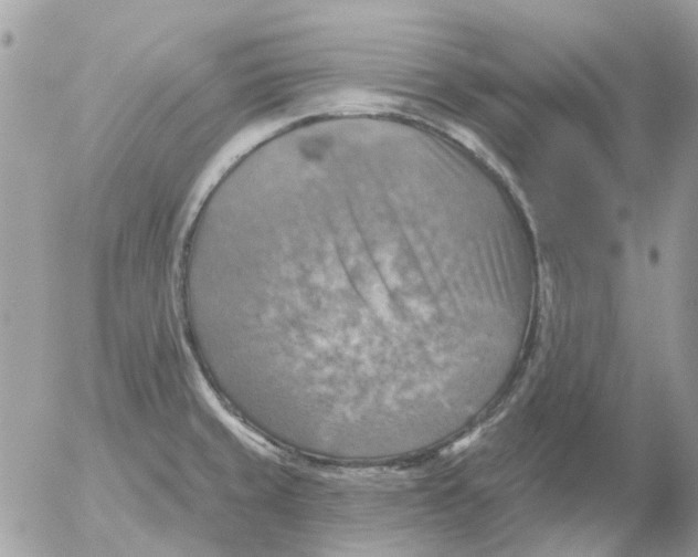 X0000052571429200507291955