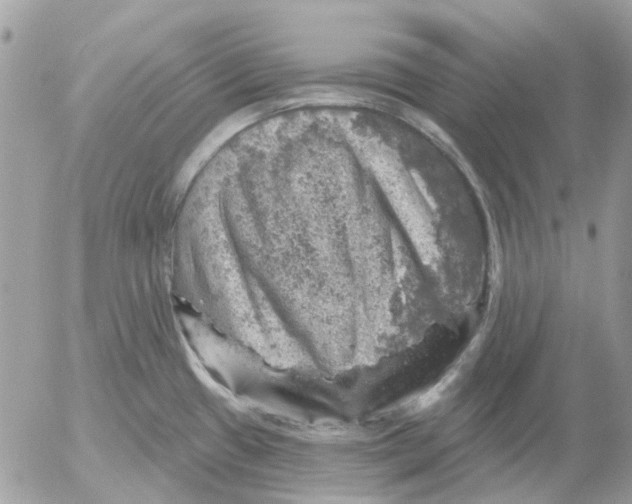 X0000052571433200507291955