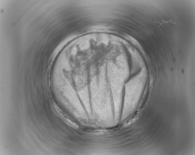 X0000052571435200507291955