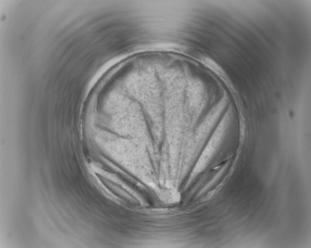 X0000052571436200507291955