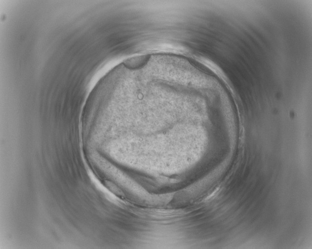 X0000052571439200507291955