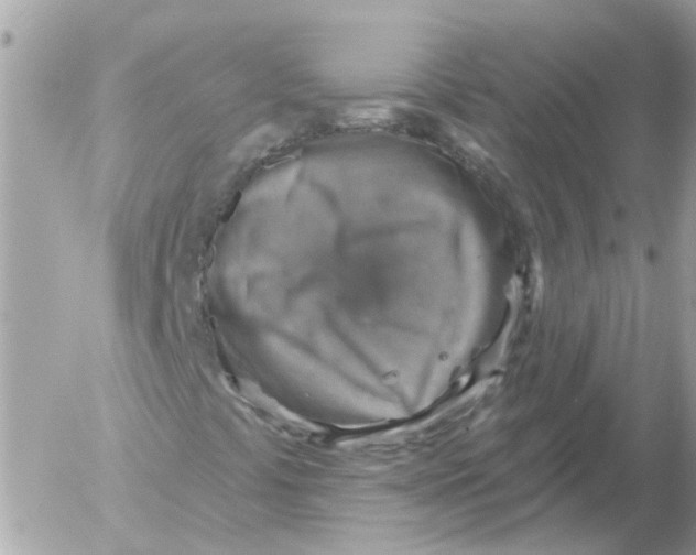 X0000052571441200507291954