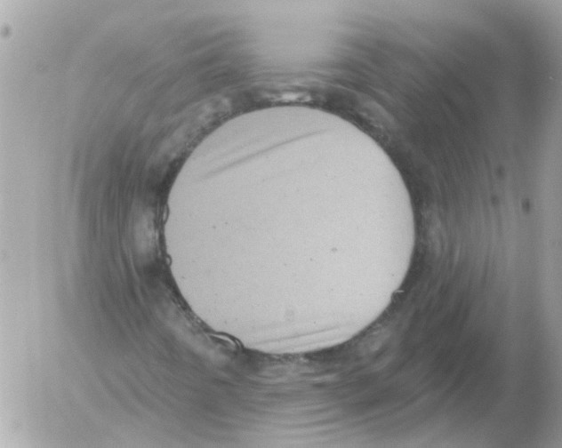 X0000052571442200507291954