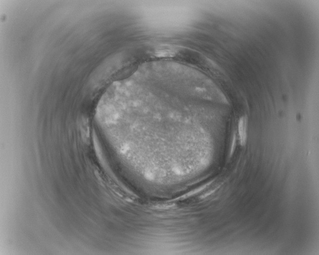 X0000052571443200507291954