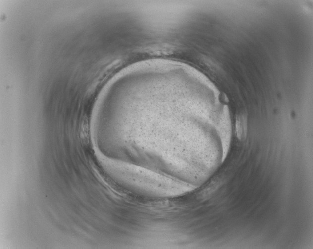 X0000052571444200507291954