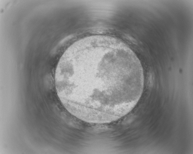 X0000052571446200507291954