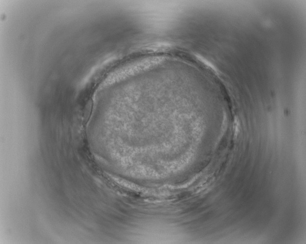 X0000052571447200507291954