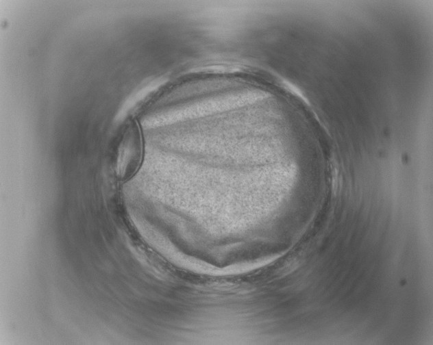 X0000052571448200507291954