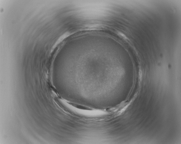 X0000052571449200507291954