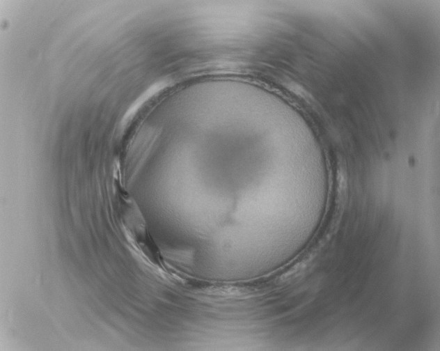 X0000052571450200507291954