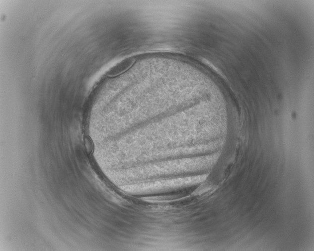 X0000052571452200507291954