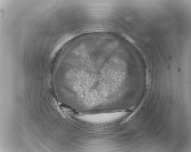 X0000052571453200507291954