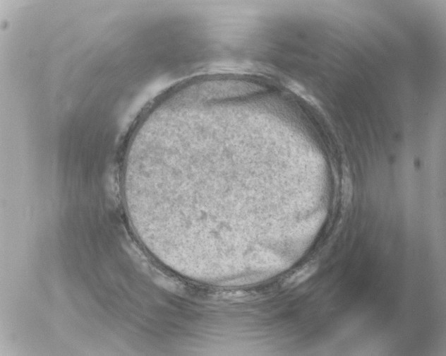 X0000052571454200507291954