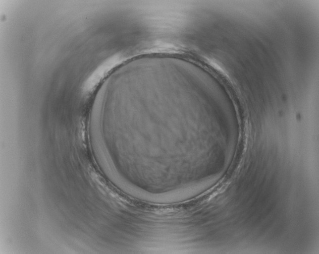 X0000052571455200507291954