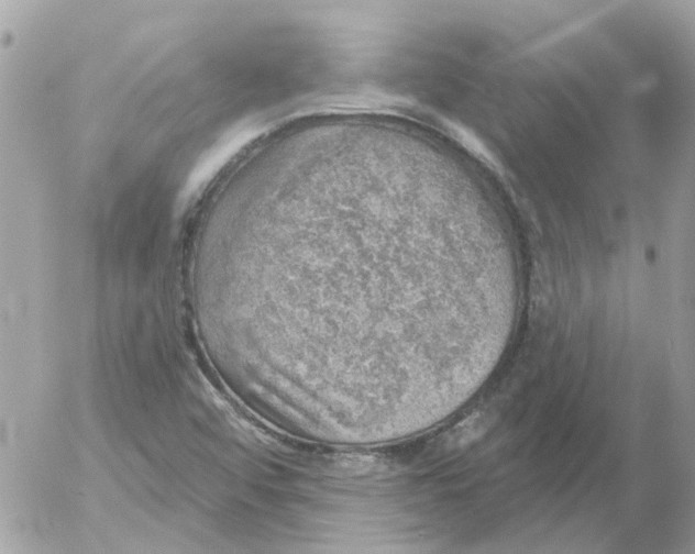 X0000052571456200507291954