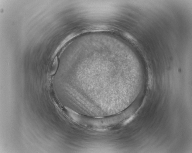 X0000052571457200507291954