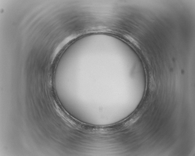 X0000052571458200507291954