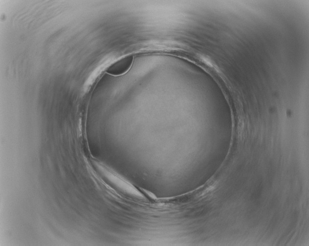 X0000052571459200507291954