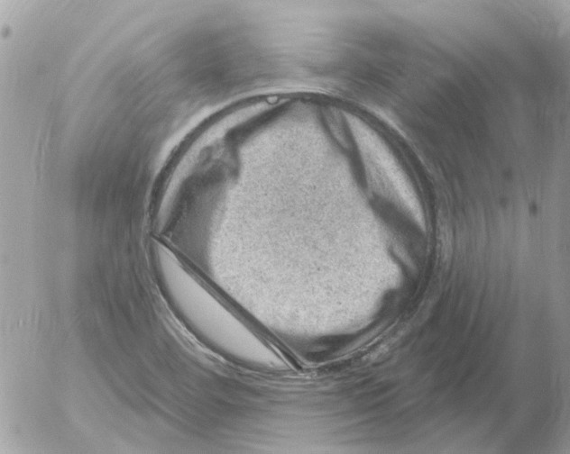 X0000052571460200507291954