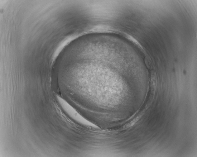 X0000052571461200507291954