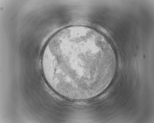 X0000052571462200507291954