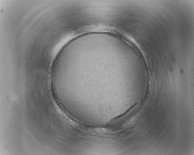 X0000052571463200507291954