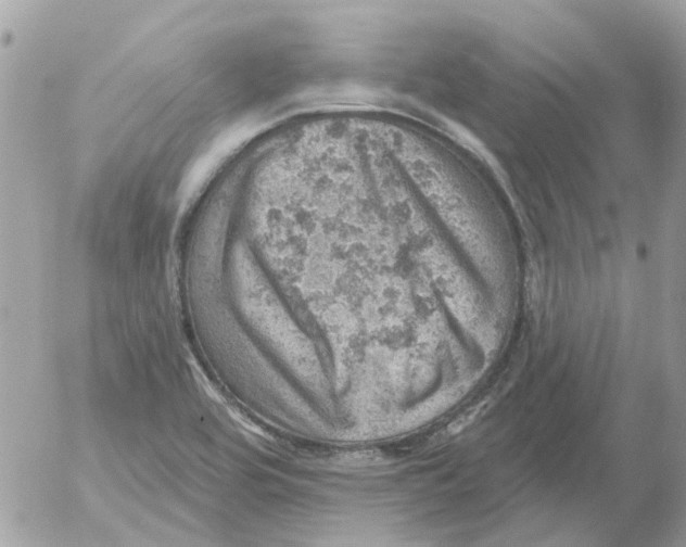 X0000052571464200507291954