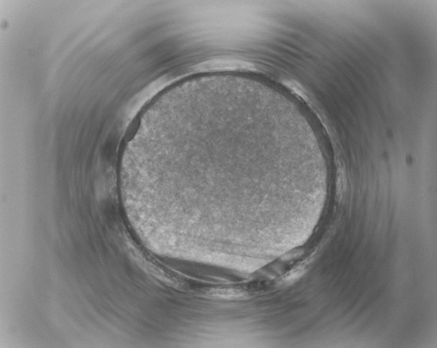 X0000052571465200507291954