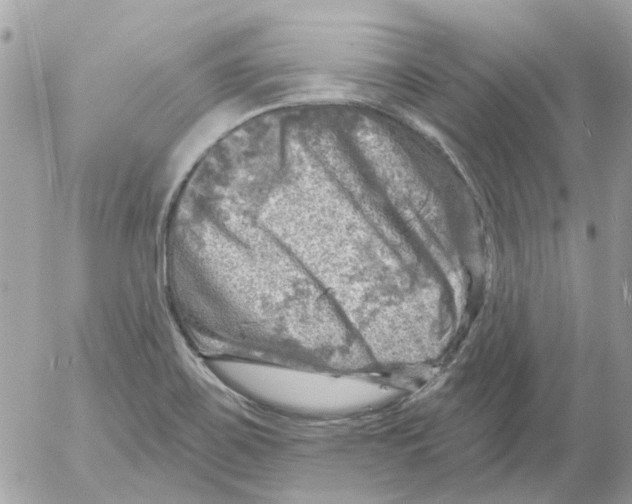 X0000052571467200507291954