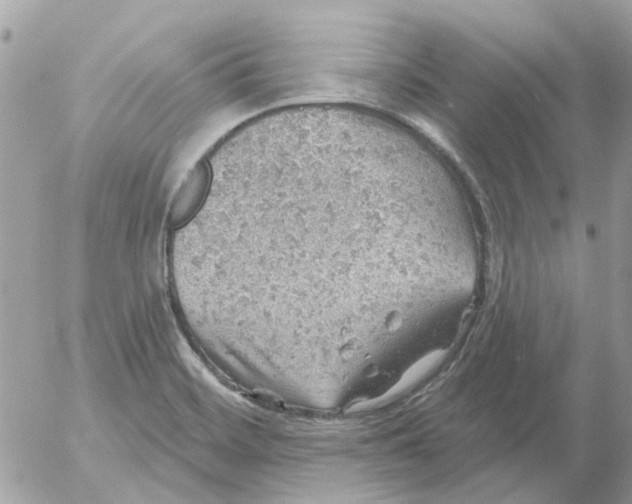 X0000052571468200507291954