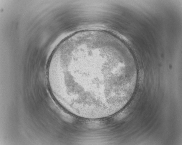 X0000052571470200507291954